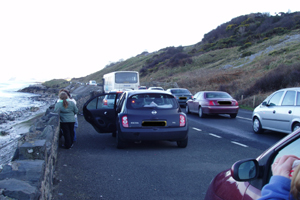 Traffic chaos, Glenarm Bay, Co. Antrim 17/03/08 © Ian Enlander, IWDG